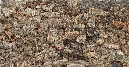 corteza-alcornoque-quercus-cortex-corcho-natural.webp